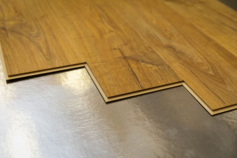 Plank Laminate Installation in Pinellas County, FL
